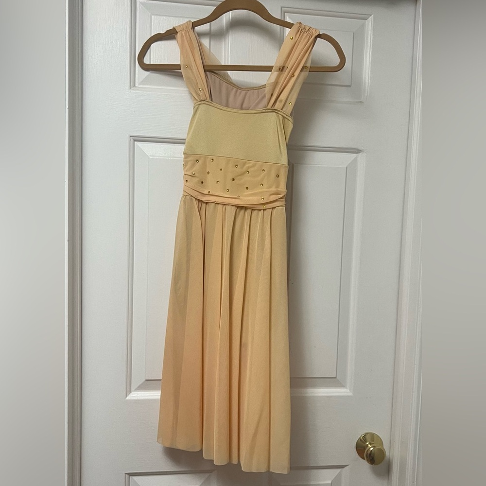 Weissman Dance Costume - image 1